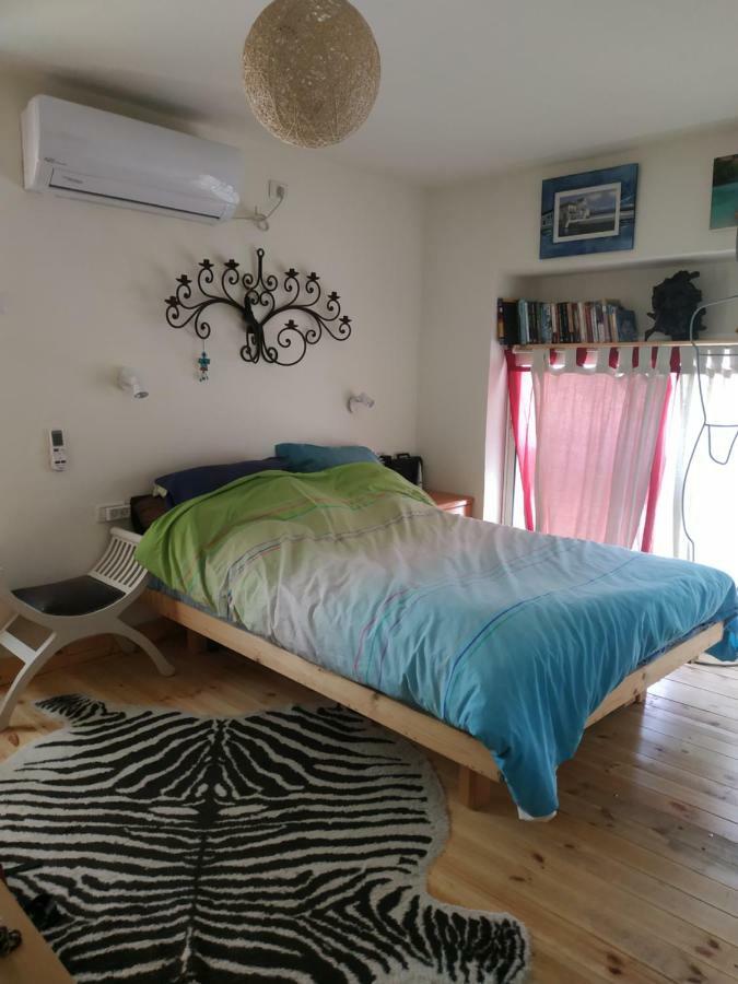 Studio Apt Great Location Heart Of Downtown District Apartment Хайфа Екстериор снимка